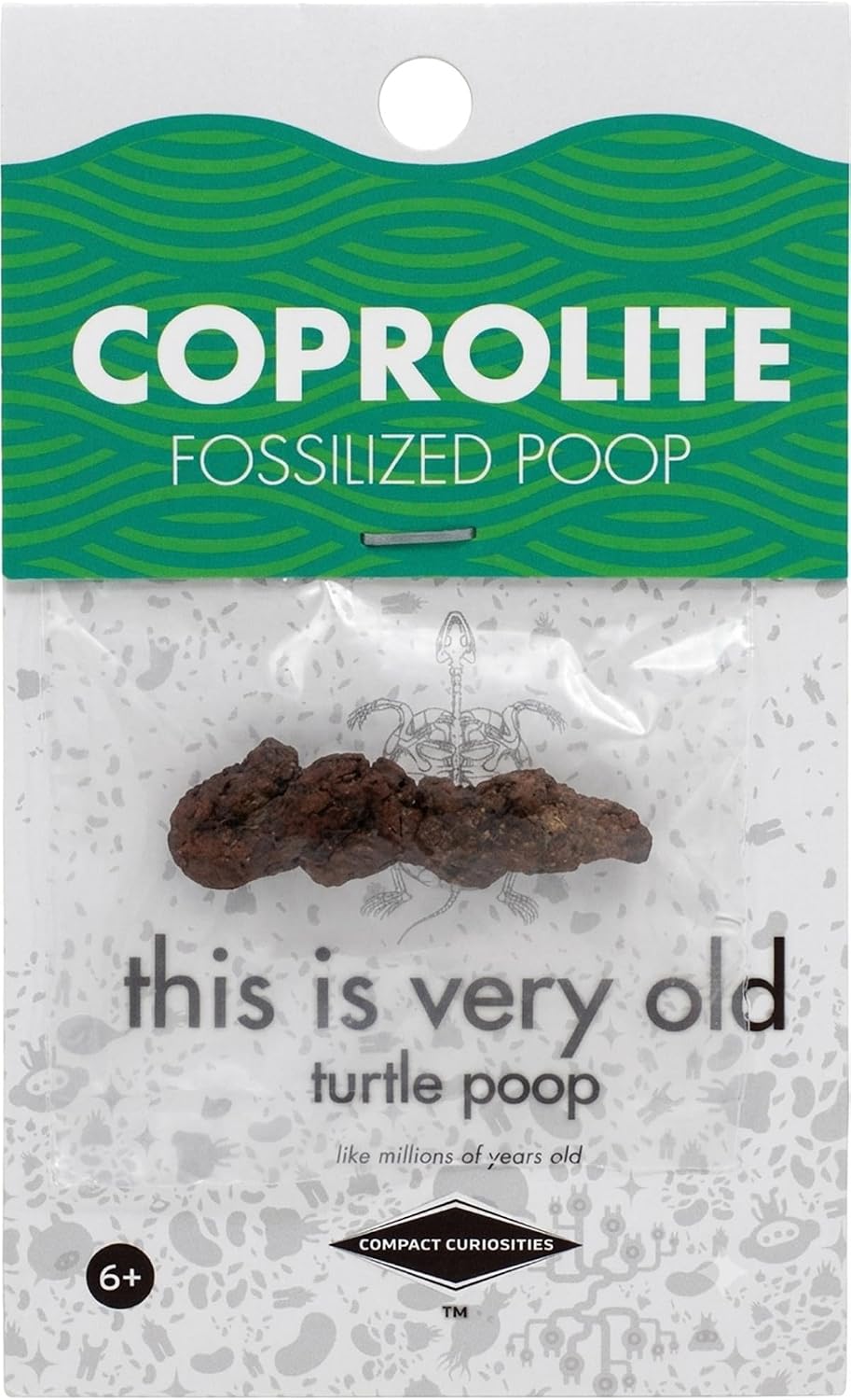Authentic Turtle Coprolite Fossil, Fossilized Poop from Madagascar