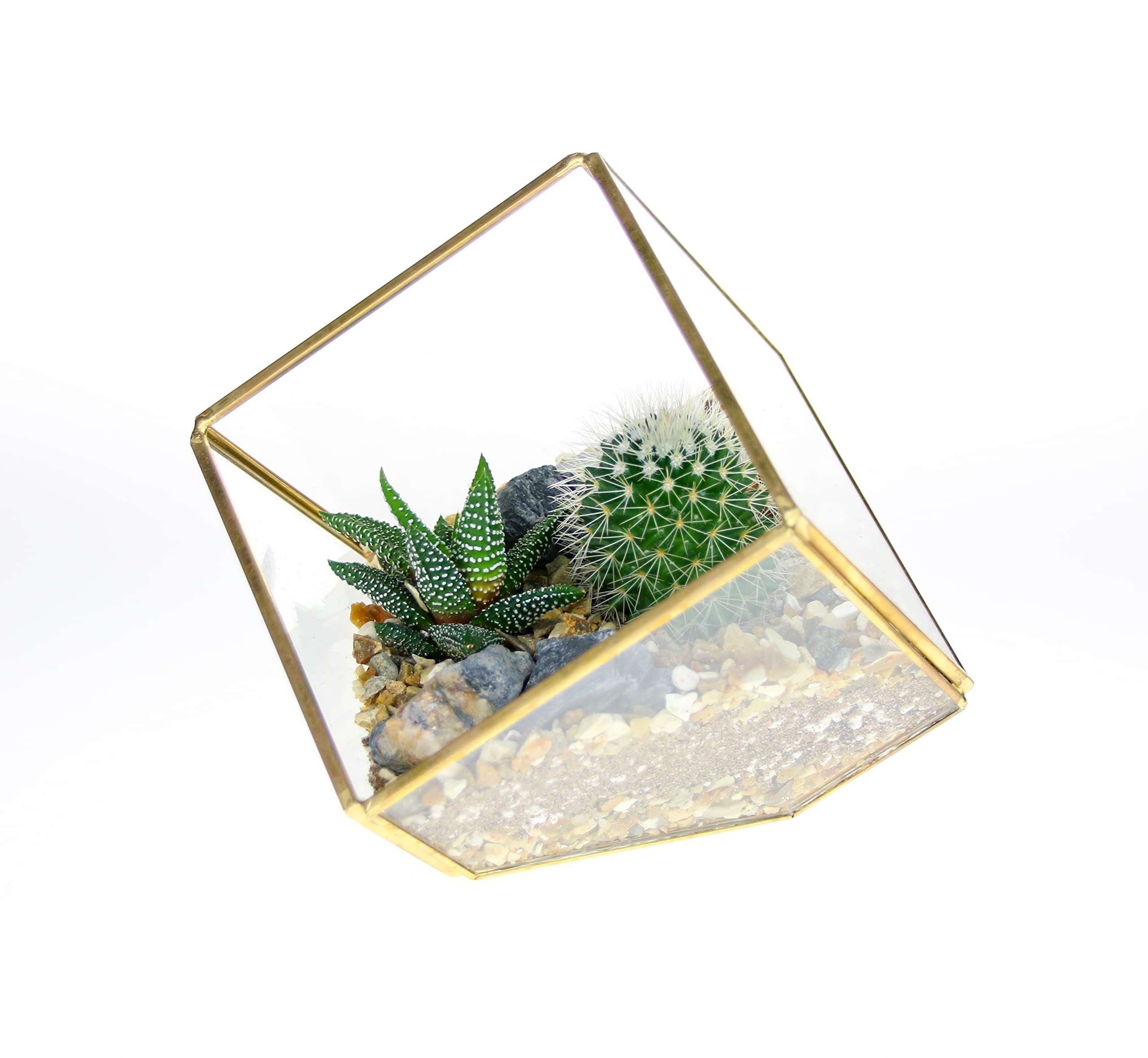Gold Brass Cube Geometric Terrarium with Real Cacti and Succulent Plants - 3 Sizes (Large 25cm wide). Complete Kit, Great gift idea for men and women