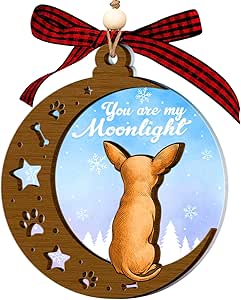 Amazon.com: Chihuahua Ornament – Chihuahua Ornaments for Christmas Tree, Unique Chihuahua Ornament 2025 Gifts for Dog Lovers, Chihuahua Christmas Ornament and Decor Gift Wood Acrylic 2 Layers Xmas Ornaments : Home & Kitchen