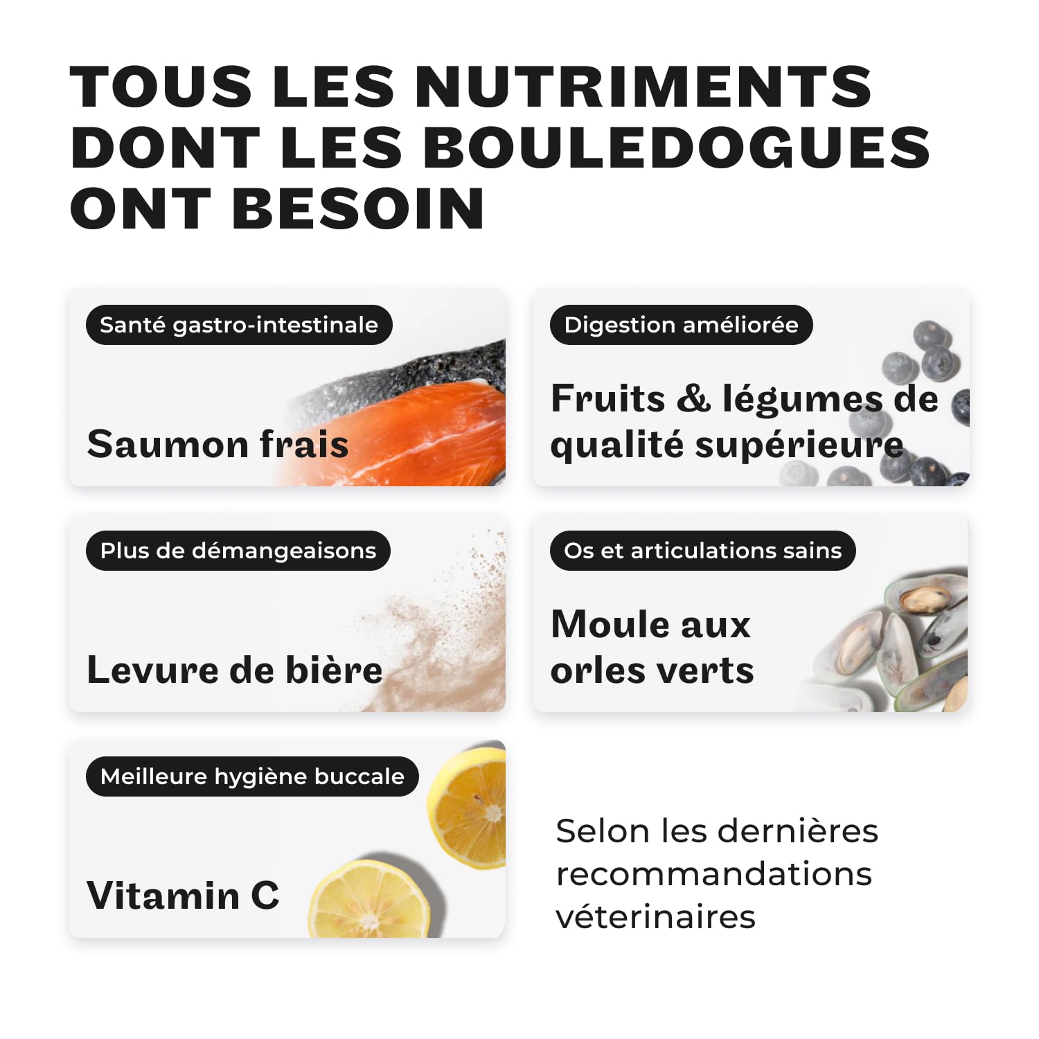 HEY HOLY Beautiful Bulldogs Croquettes Premium pour Bulldogues 100% sans céréales | Aliment hypoallergénique pour Bulldogues Adultes avec Saumon, 7kg | Très digestible, à Base d'ingrédients naturels