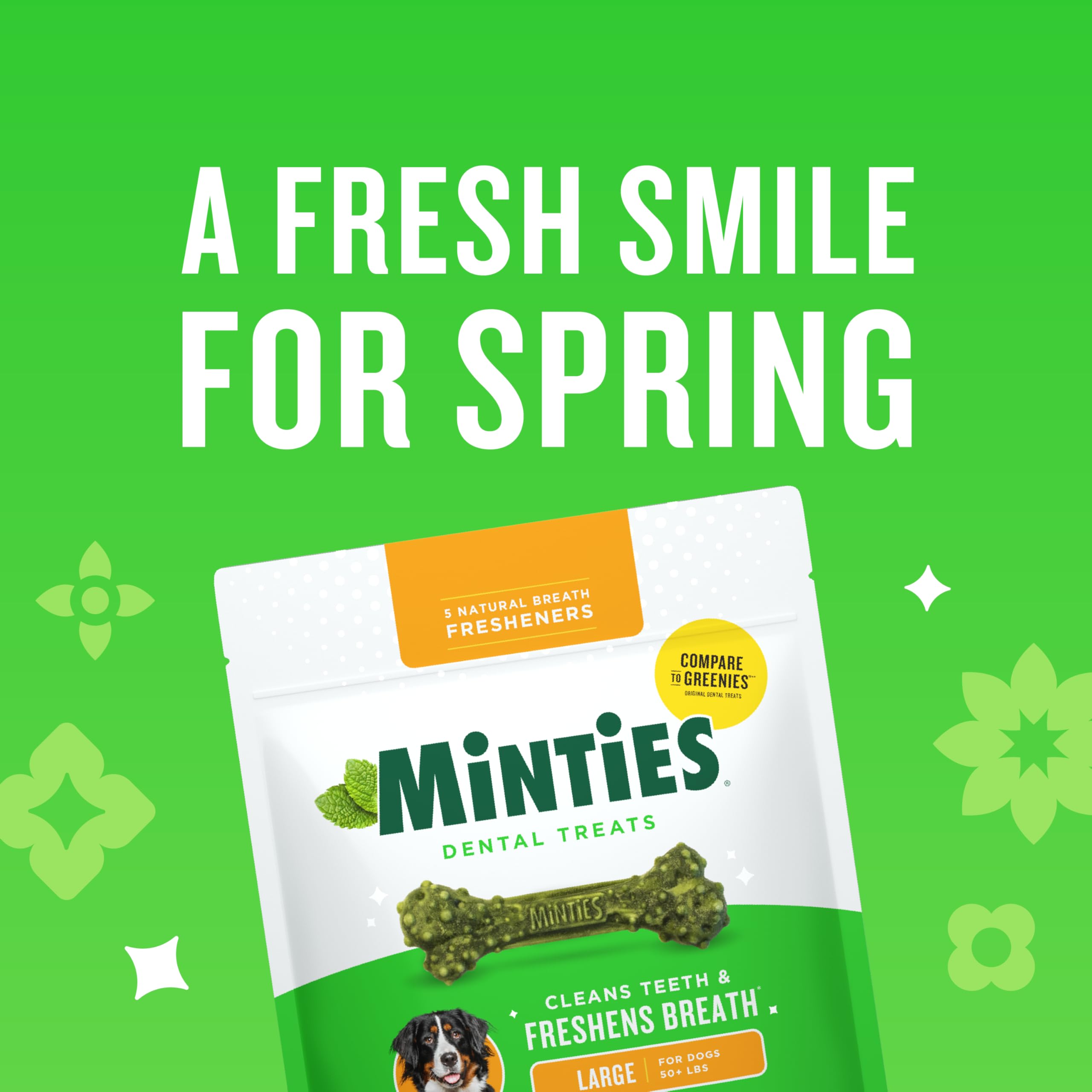 Minties Dental Chews for Dogs, 12 Count, Vet-Recommended Mint-Flavored Treats for Large Dogs Over 50 lbs, Dental Bones Clean Teeth, Fight Bad Breath, and Removes Plaque and Tartar - image 2