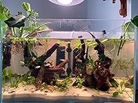 Review Image by Logan Walker Logan Walker