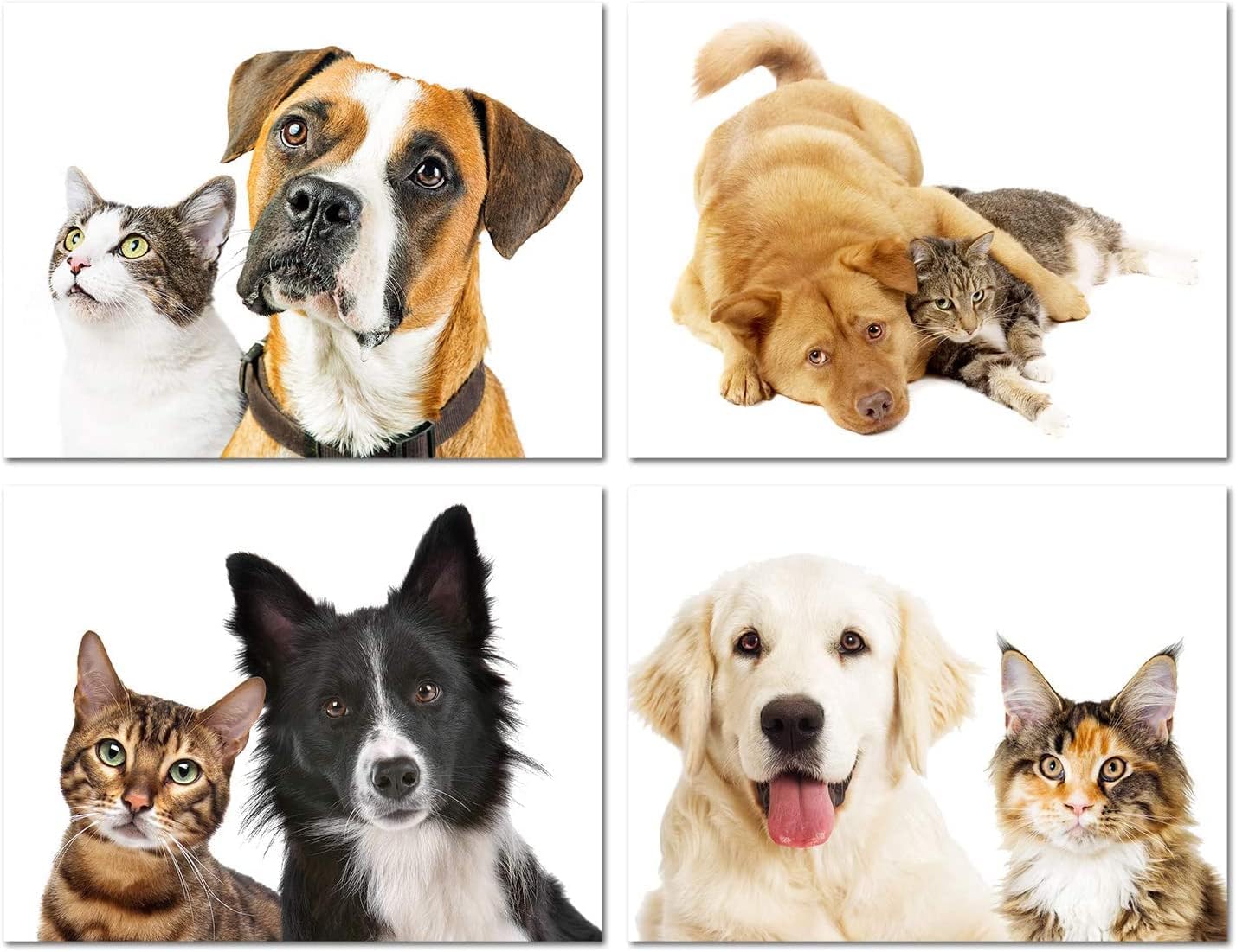 Furry Friends Note Cards 24 Count - Blank Inside with White Envelopes - A2 Size 5.5 x 4.25 - Dog and Cat Stationery - All Occasion Birthday, Thank You, and More