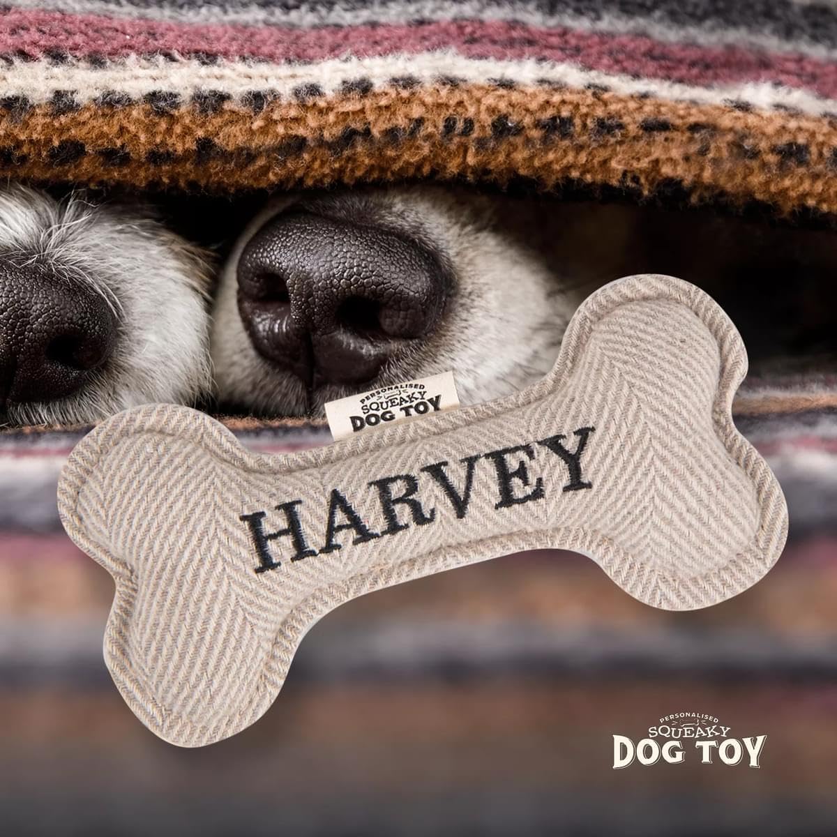 History & Heraldry Squeaky Bone Toy [Names A – J] Harvey