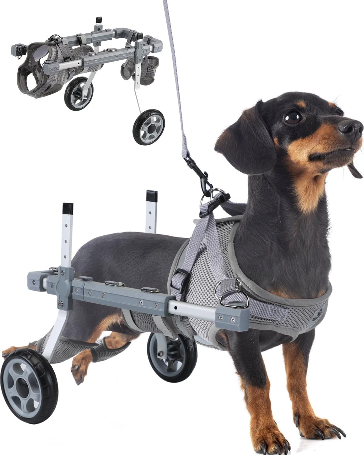 EMUST Small Dog Wheelchair for Back Legs, Wheelchairs for