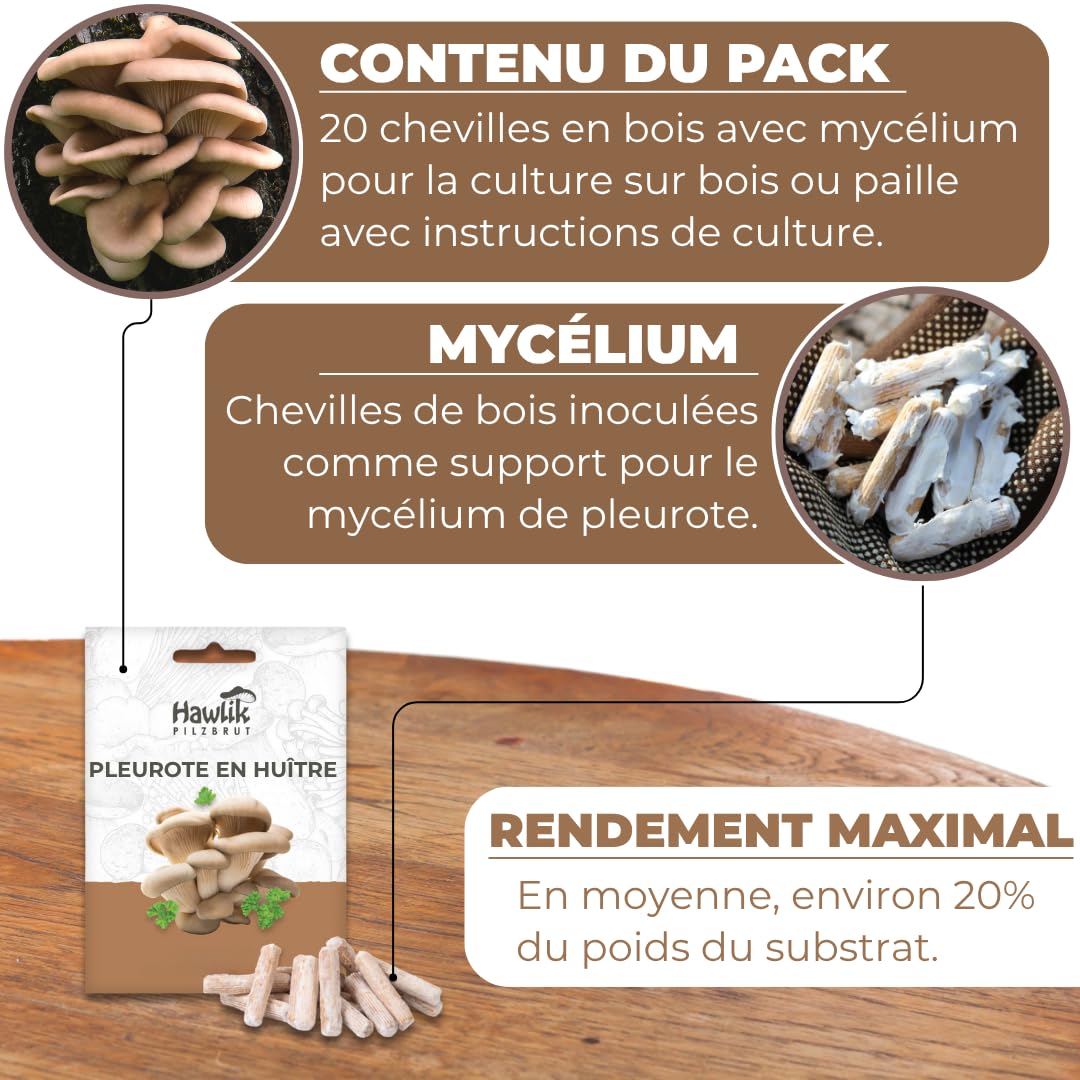 Hawlik Pilzbrut - Cheville Pleurotes en huître pour cultiver soi-même - 20 cheville avec mycélium de champignon