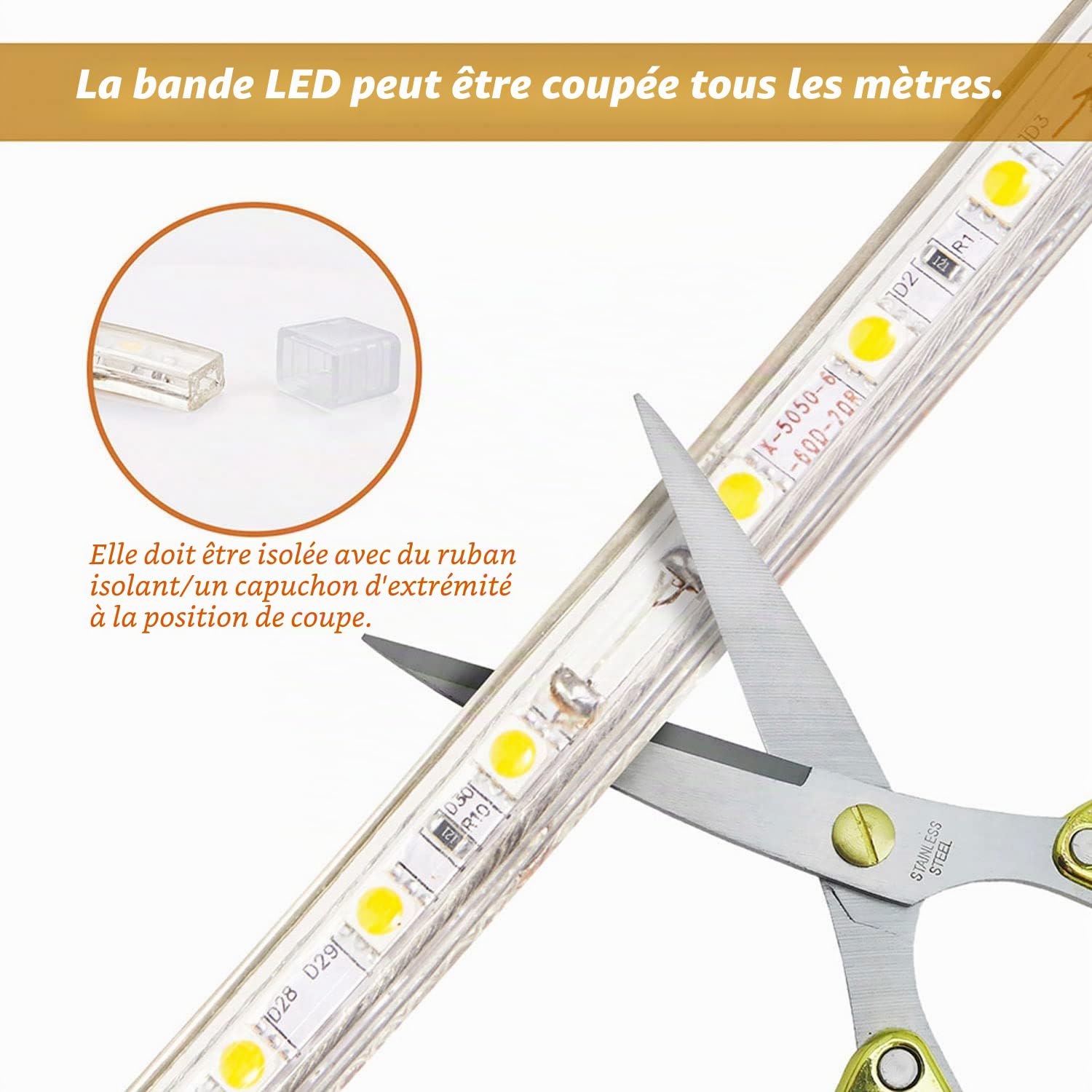 Ruban LED 10 Mètres, IP65 Étanche Bande LED avec Interrupteur 220V 230V, Blanc Froid