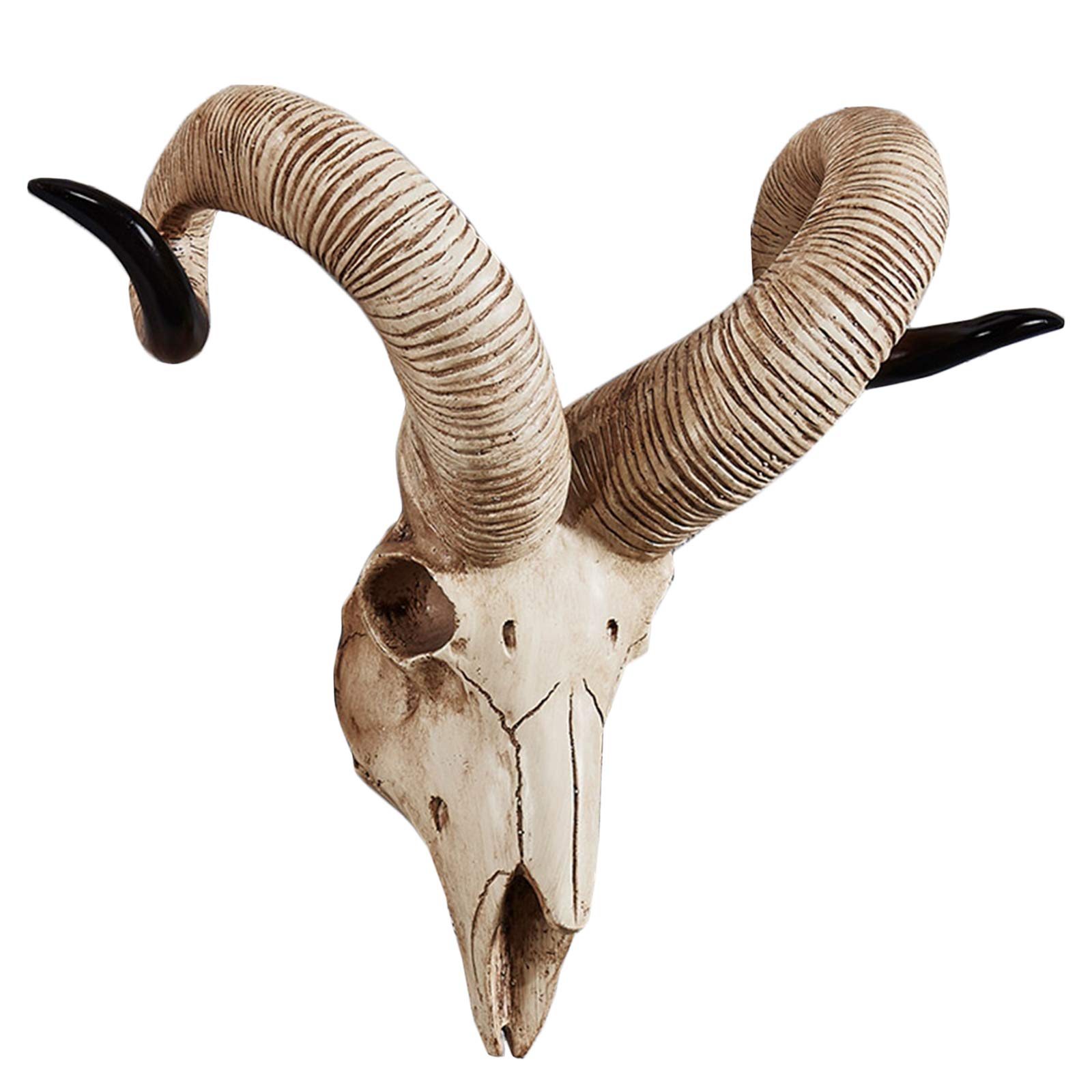 YXCQHZM Sheep Head Wall Hanging Ram Skull Wall Sculpture 3D Animal Longhorn Sculpture Figurines Crafts Horns Home Decor Ornaments