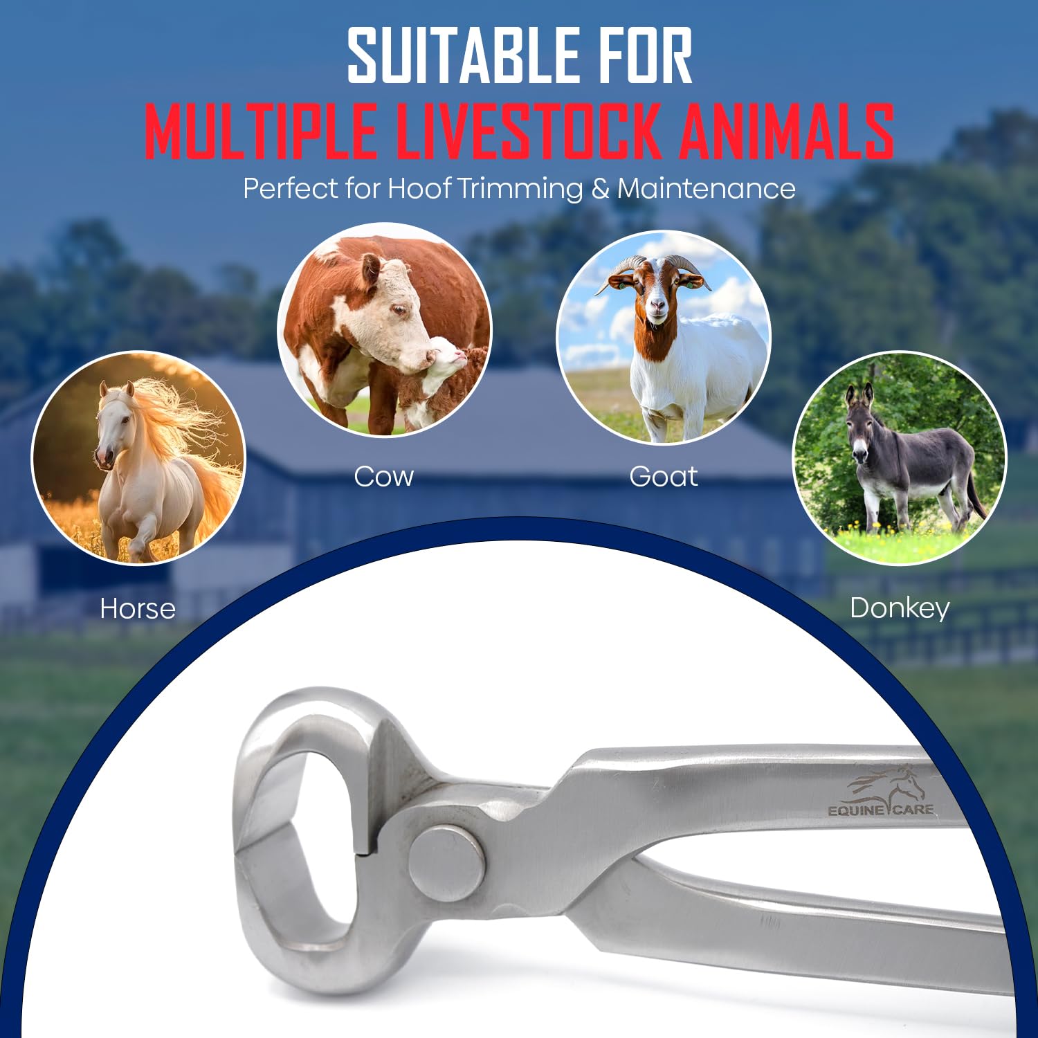 Equine Care Tronchese professionale per zoccoli – Strumenti per l'allevamento in acciaio al cromo vanadio | Tagliazoccoli da 10 ″ a 15 ″ per cavalli, pony, puledrli, asini e bestiame | Lame di