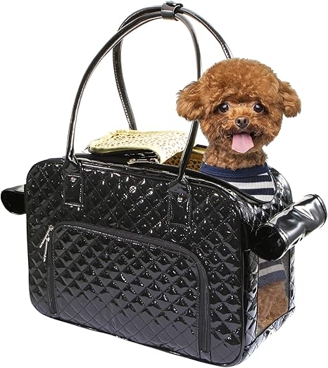 kitty holster amazon