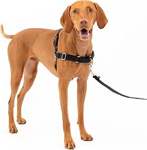 PetSafe Easy Walk Dog Harness, No Pull Dog Harness - Dog Training Harness with Leash and Harness - Prevent Pulling and Choking on Walks - Medium, Black