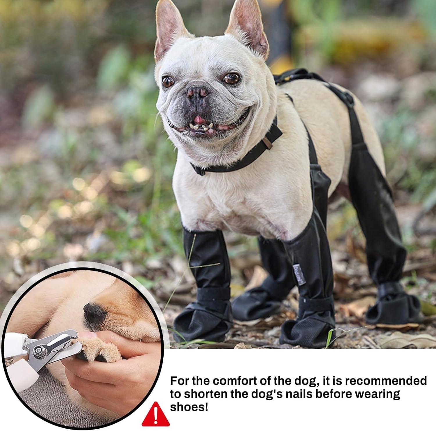 Dog Socks To Stop Licking Paws NAMSAN Dog Boots With Suspenders - Main Image