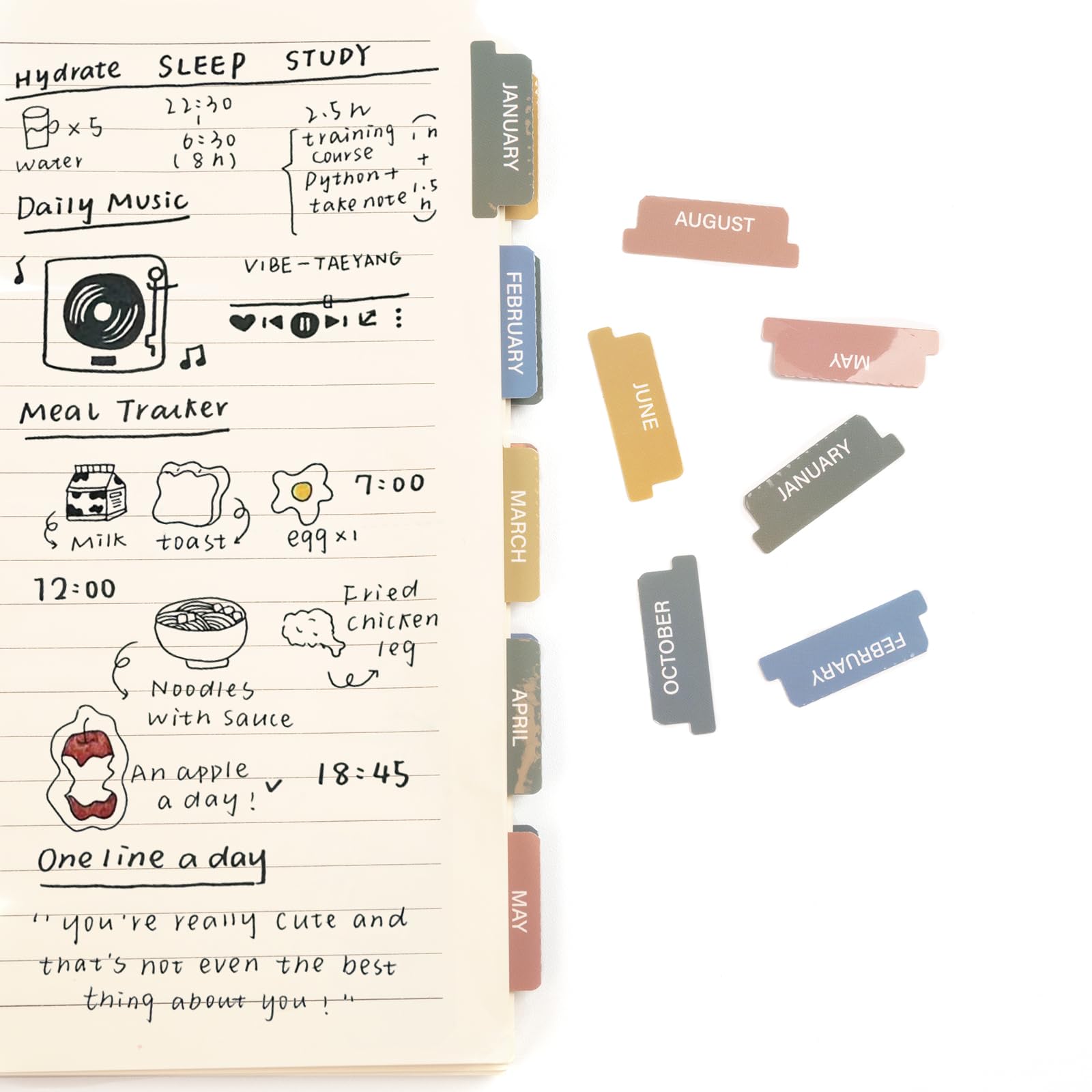 Lumintutu Laminated Planner Monthly Stickers,40 Adhesive Plan Tabs Accessories for Notebooks (2 Sets 12 Month Tabs and 16 Blank Tabs), Hobonichi 2026 Happy Calendar Inserts Set (Morandi)