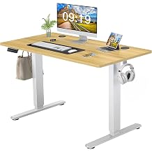48 Inch Electric Standing Desk, Height Adjustable Sit Stand Up Desk, Computer Workstation Home Office Gaming Rising Table with Memory Preset Splice Board, Natural