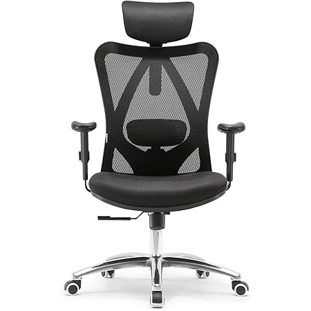 SIHOO Office Desk Chair, Ergonomic Computer Chair with Adjustable Headrest and Lumbar Support,High Back Executive Swivel Chair(Black)