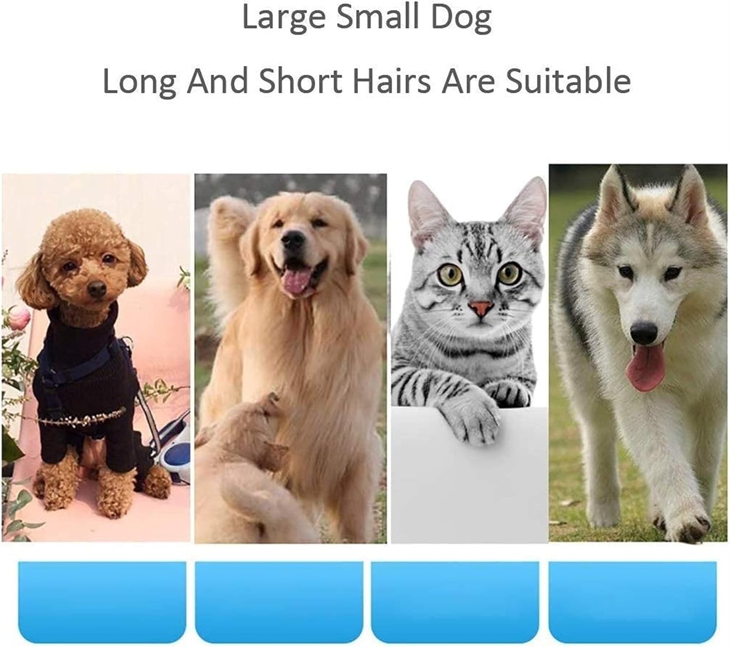 Dual-Motor pet Water Blowing Machine for Cats and Dogs high-Power Silent Blowing Dryer for Large Medium and Small