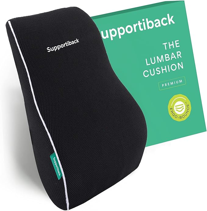 Back Support Chair Cushion - Lasting Comfort Lumbar Support Cushion ...