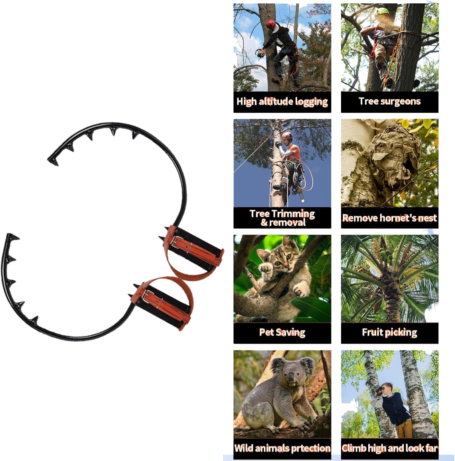Professional Tree Climbing Gear Set with Crampons & Harness, Fruit & Coconut Picking Equipment, Durable Climbing Equipment with Sharp Buckle (250mm/9.8 inches)