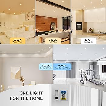 ZYC Gold 6 Inch Retrofit LED，12 Pack 6