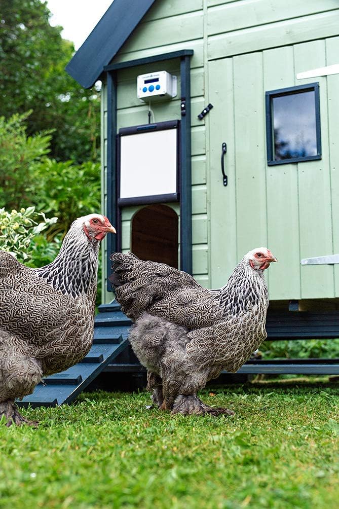 Kit de porte automatique ChickenGuard® pour poulailler - S'ouvre et se ferme automatiquement - Résiste aux prédateurs — vue 6