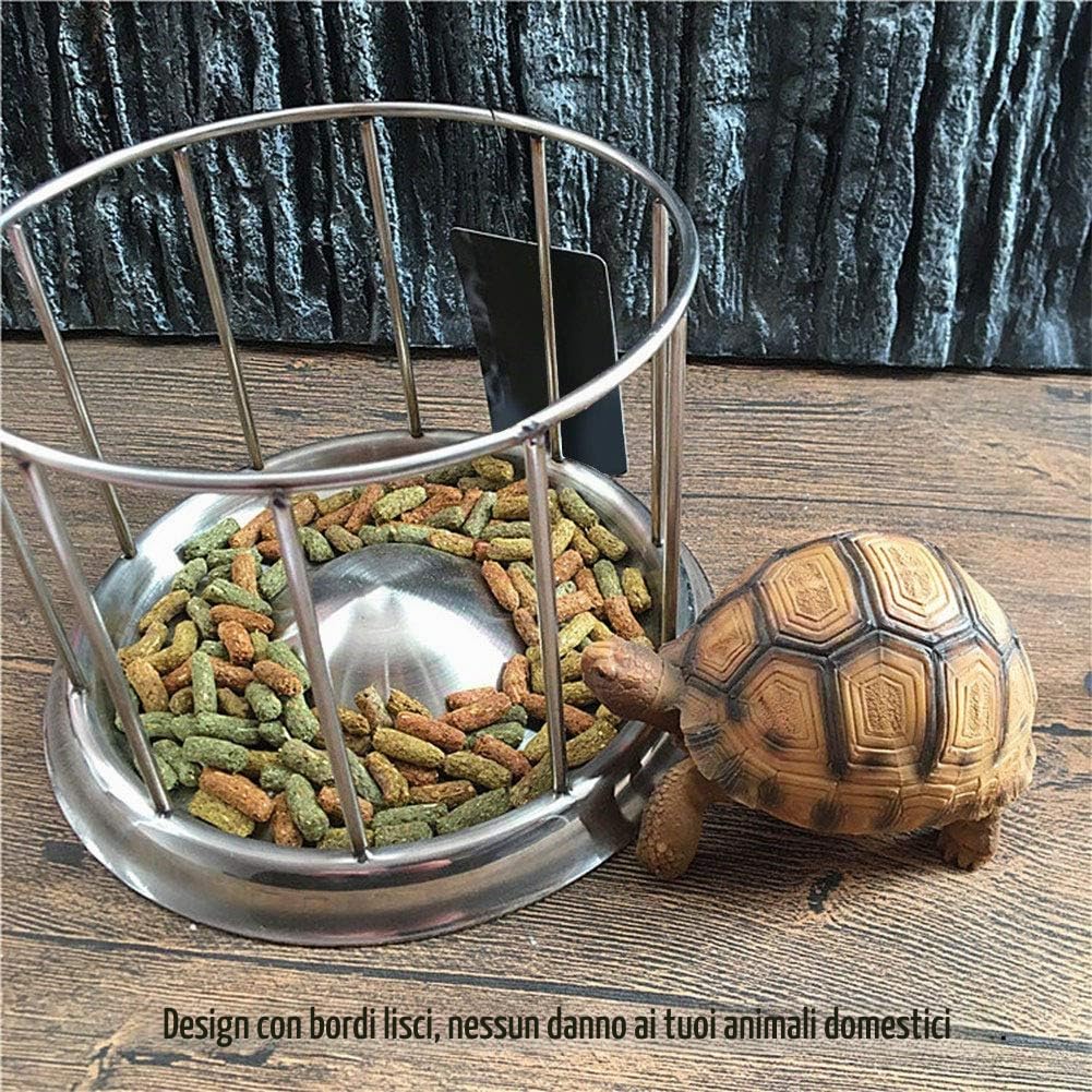 Buachois Mangiatoia per Tartarughe, in Acciaio Inox Ciotola per Acqua e Cibo, per Tartarughe D'Acqua (L)