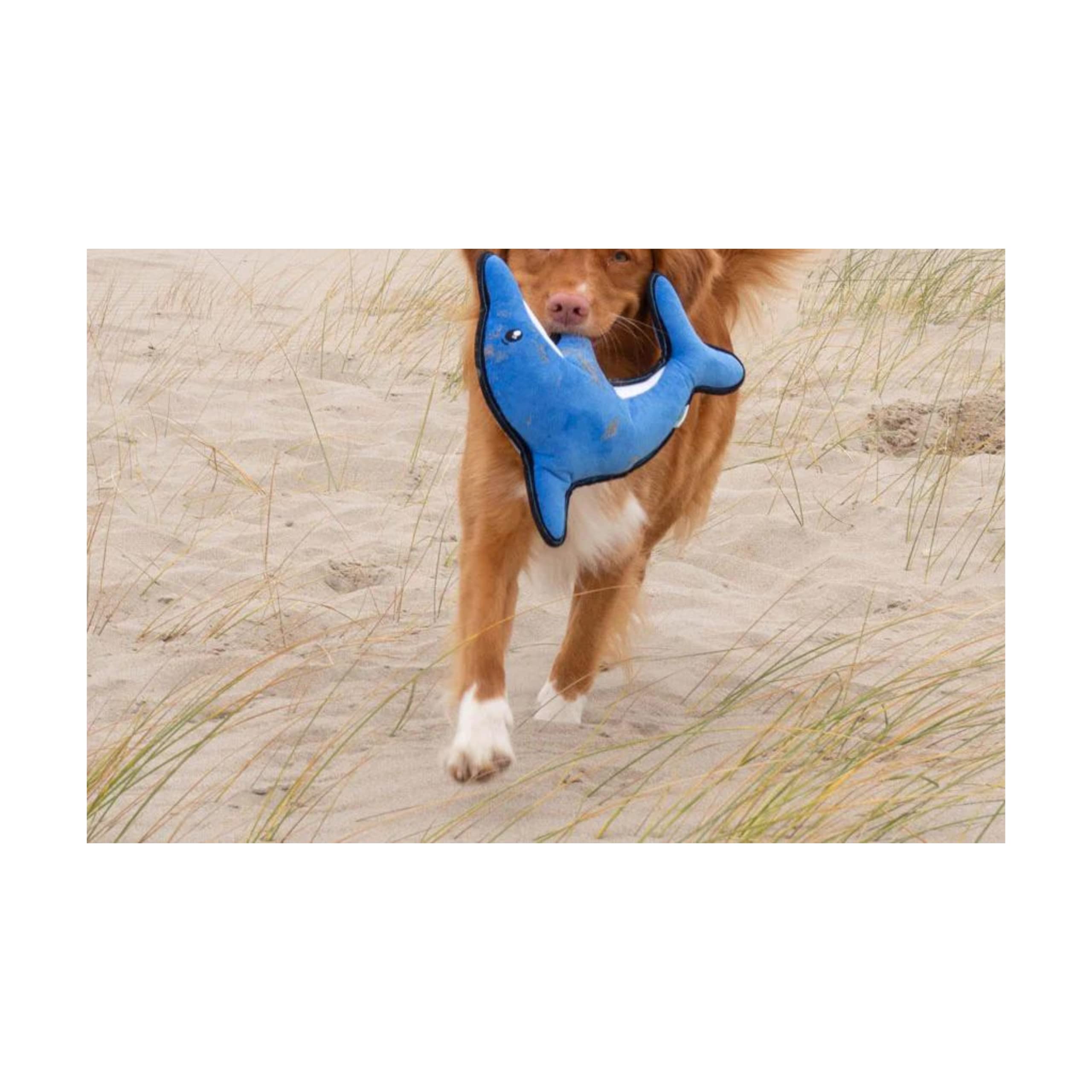 Beco Jouet pour Chien en Forme de Dauphin recyclé Rugueux et résistant | Cadeaux pour Chiens | Jouets de Noël pour Chien | Cadeaux pour Chiens