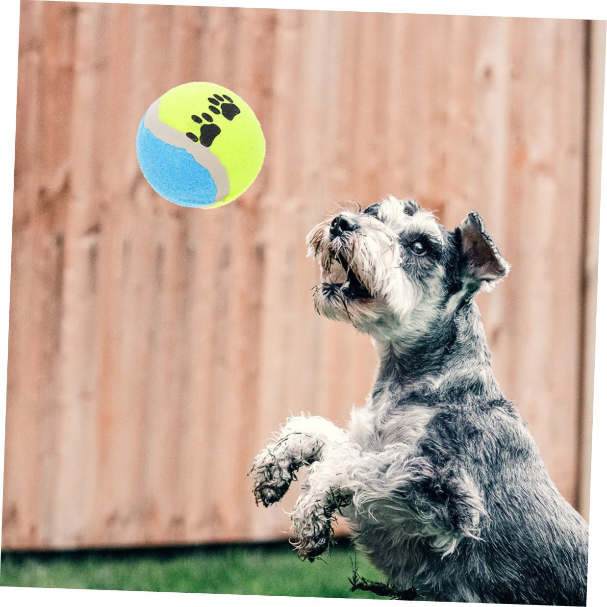 16pcs Dog Balls for Aggressive Chewers, Sturdy Rubber Puppy Balls 7cm, Interactive Outdoor Fetch for Small and Medium Dogs Training and Play Random Color
