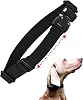 Bungee E-Collar Replacement Strap - Fits Dogtra, Garmin, SportDOG, Educator - Multiple Colours & Sizes (Black, Large: neck 41+ cm/ 17”+)