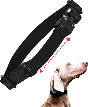 Bungee E-Collar Replacement Strap - Fits Dogtra, Garmin, SportDOG, Educator - Multiple Colours & Sizes Black, Medium neck 34-41 cm/ 13-16