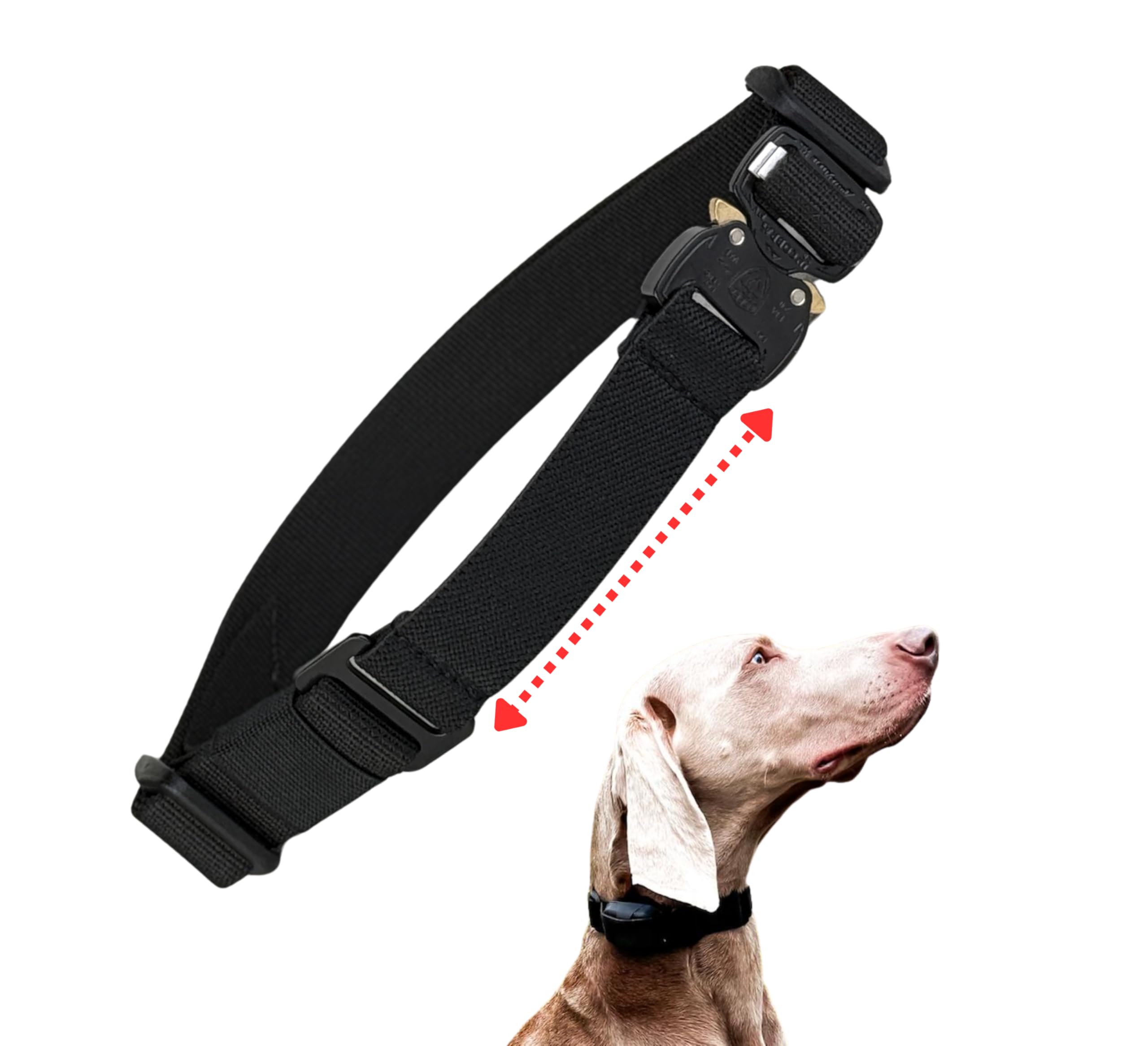 FlexCollars - Correa elástica para collar electrónico, color negro, se adapta a receptores de 3/4 pulgadas (640C, 640X, IQ, Educator, Mini Educator o similar) – Collar de entrenamiento para perros