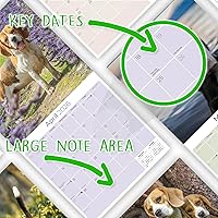 Vista 1276 de Razas de Perros 2017