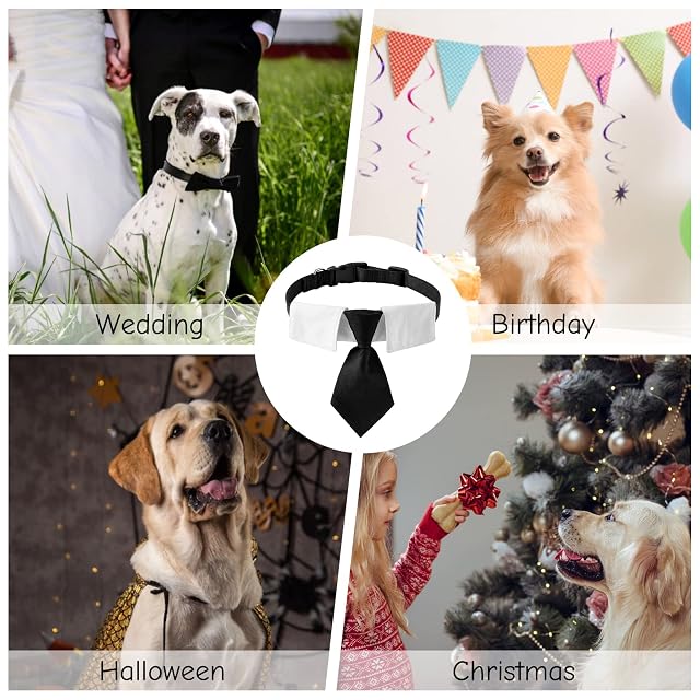 Foto 5 de 8 de HACRAHO Black Dog - Collar de algodón con hebilla ajustable para perros medianos y grandes, talla L