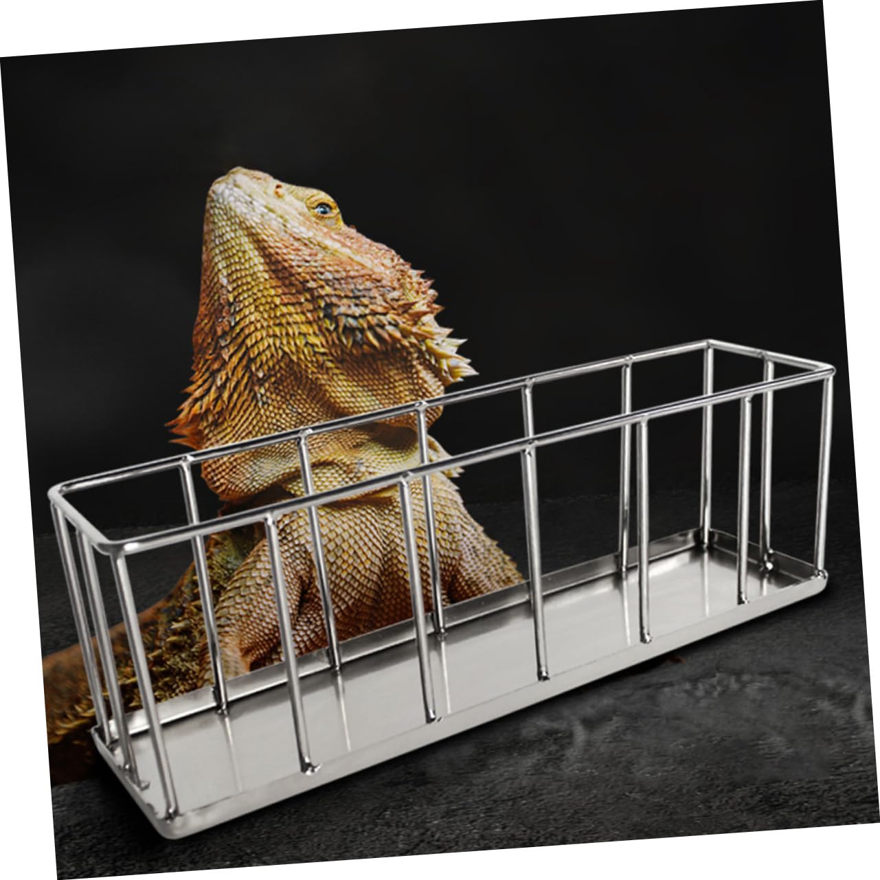 INOOMP Ciotola per Rettili in Acciaio Inox, Mangiatoia per Tartarughe e Lucertole, Superficie Liscia Antiruggine, per Gabbia Animali Domestici