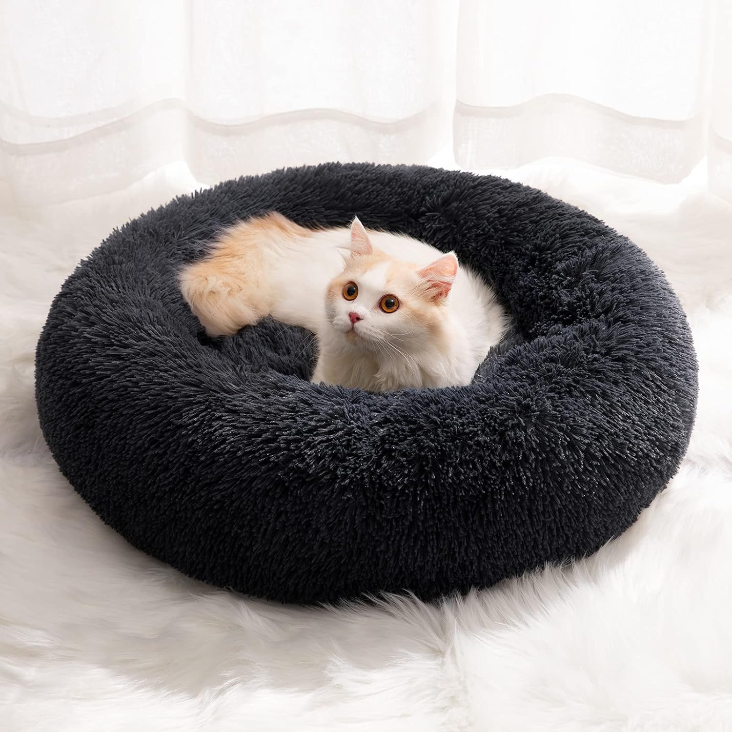cat bed cushions