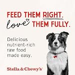 Stella & Chewy’s Freeze Dried Raw Tantalizing Turkey Meal Mixer – Dog Food Topper for Small & Large Breeds – Grain Free, Protein Rich Recipe – 99g Bag