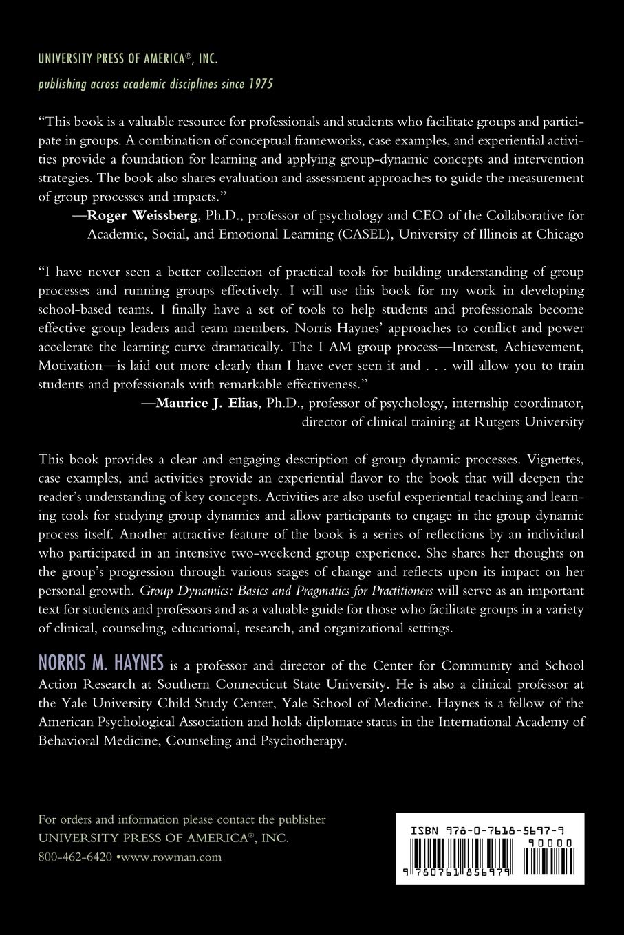Group Dynamics: Basics and Pragmatics for Practitioners [Lingua inglese]