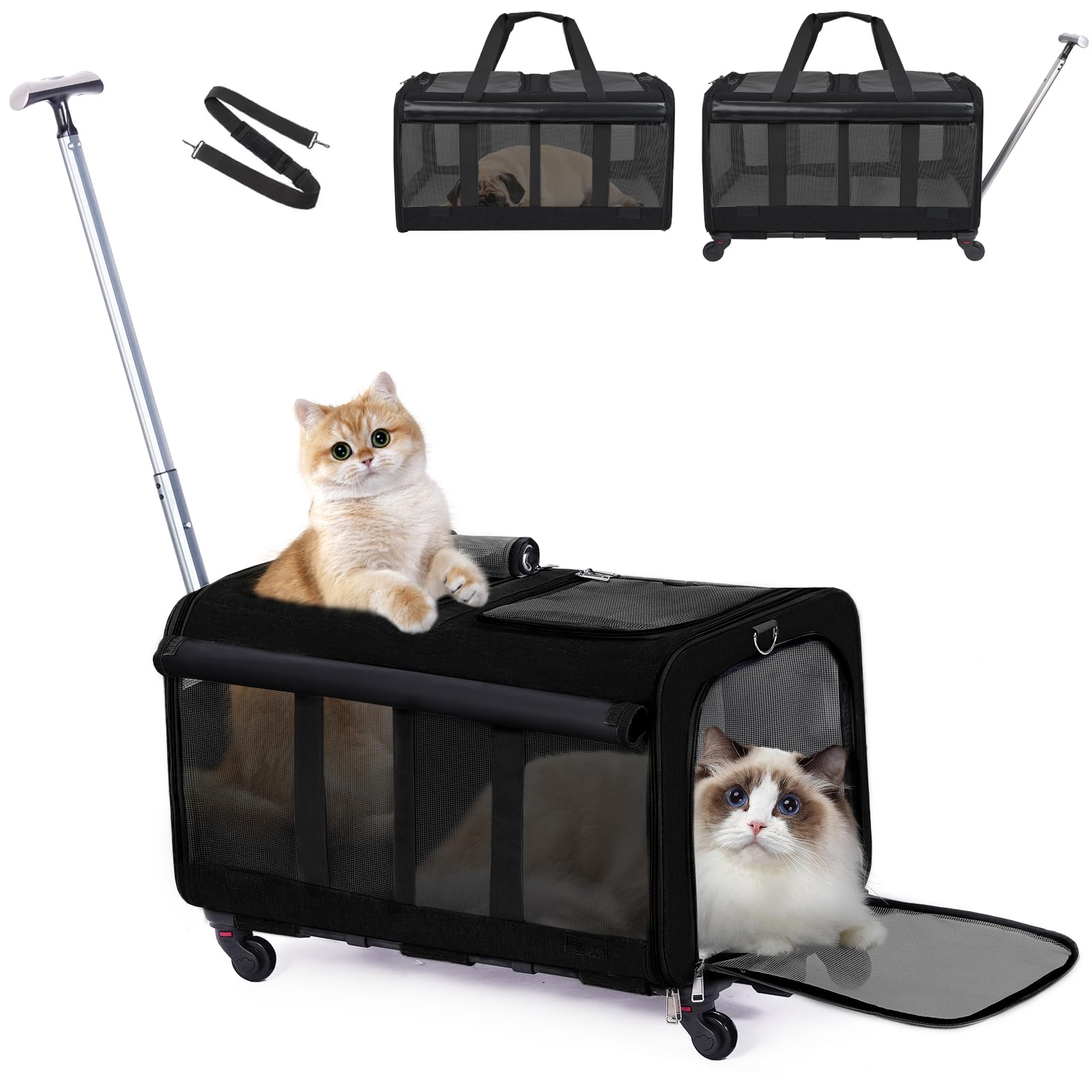 Pet Carrier with Wheels for 2 Cats - Double Compartment Foldable Cat Carrier with Wheels for 2 Small Cats/Dogs or Large Cats, Cat Travel Carrier for Hiking/Veterinary Visits (Black, Large)