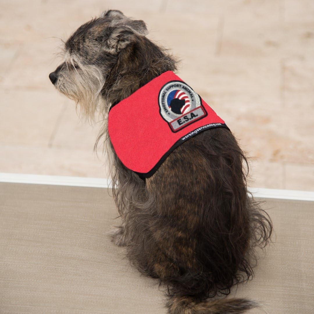 Premium ESA Dog Vest - for Smaller Emotional Support Animals (7-11 Pounds, Red) - Includes 5 Federal Law ESA Handout Cards