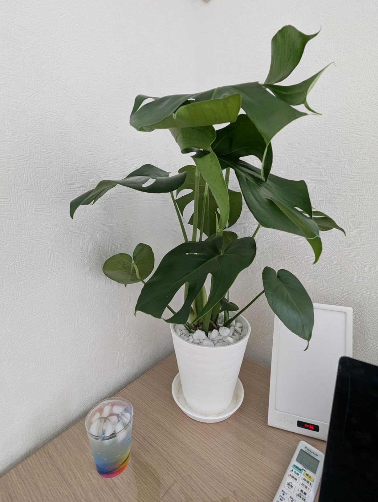 お客様イメージ