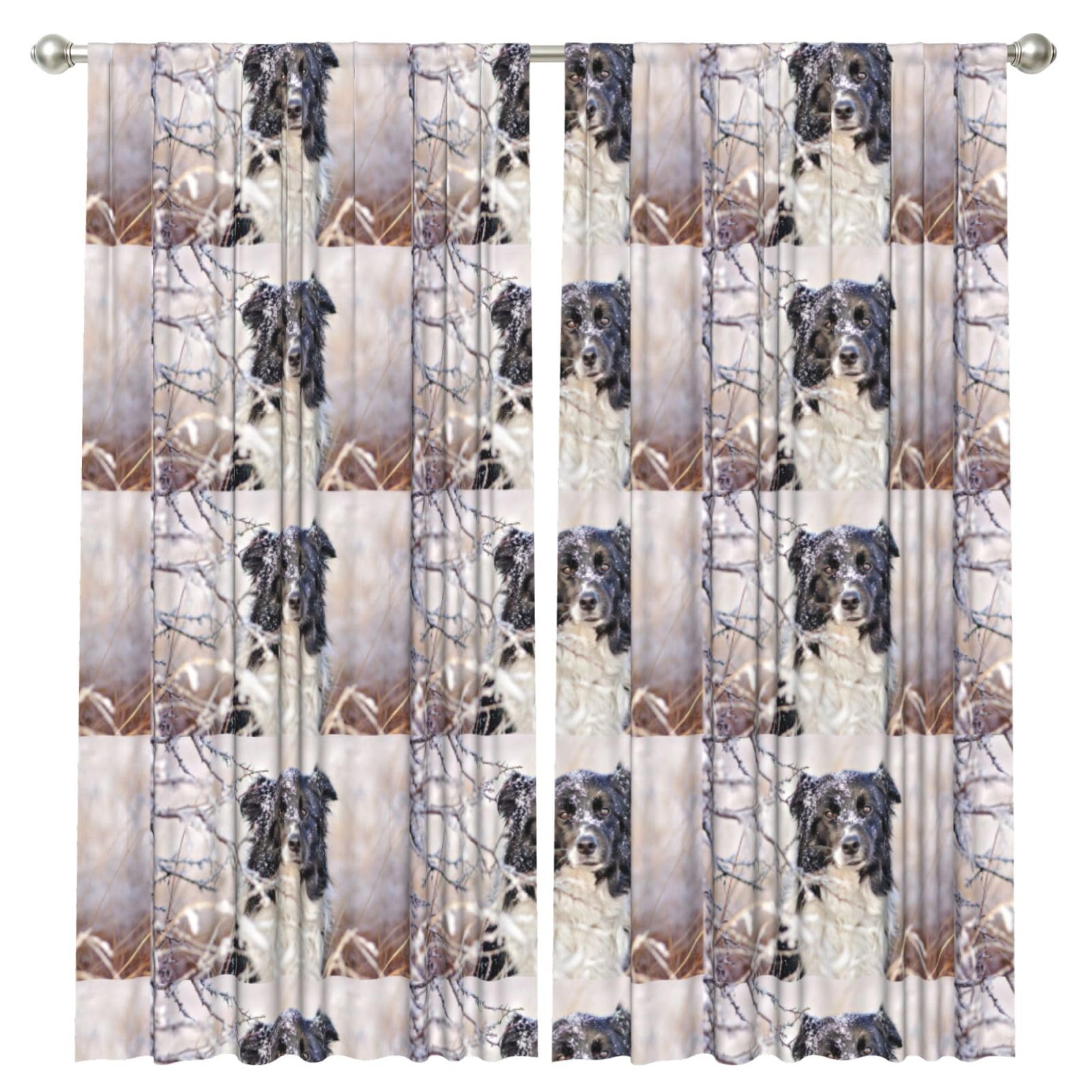 InOmak Border Collie Winter Snow White Black Dogs, 2 Panels Window Curtains 52 x 84 Inch Blackout Curtains for Living Room Bedroom