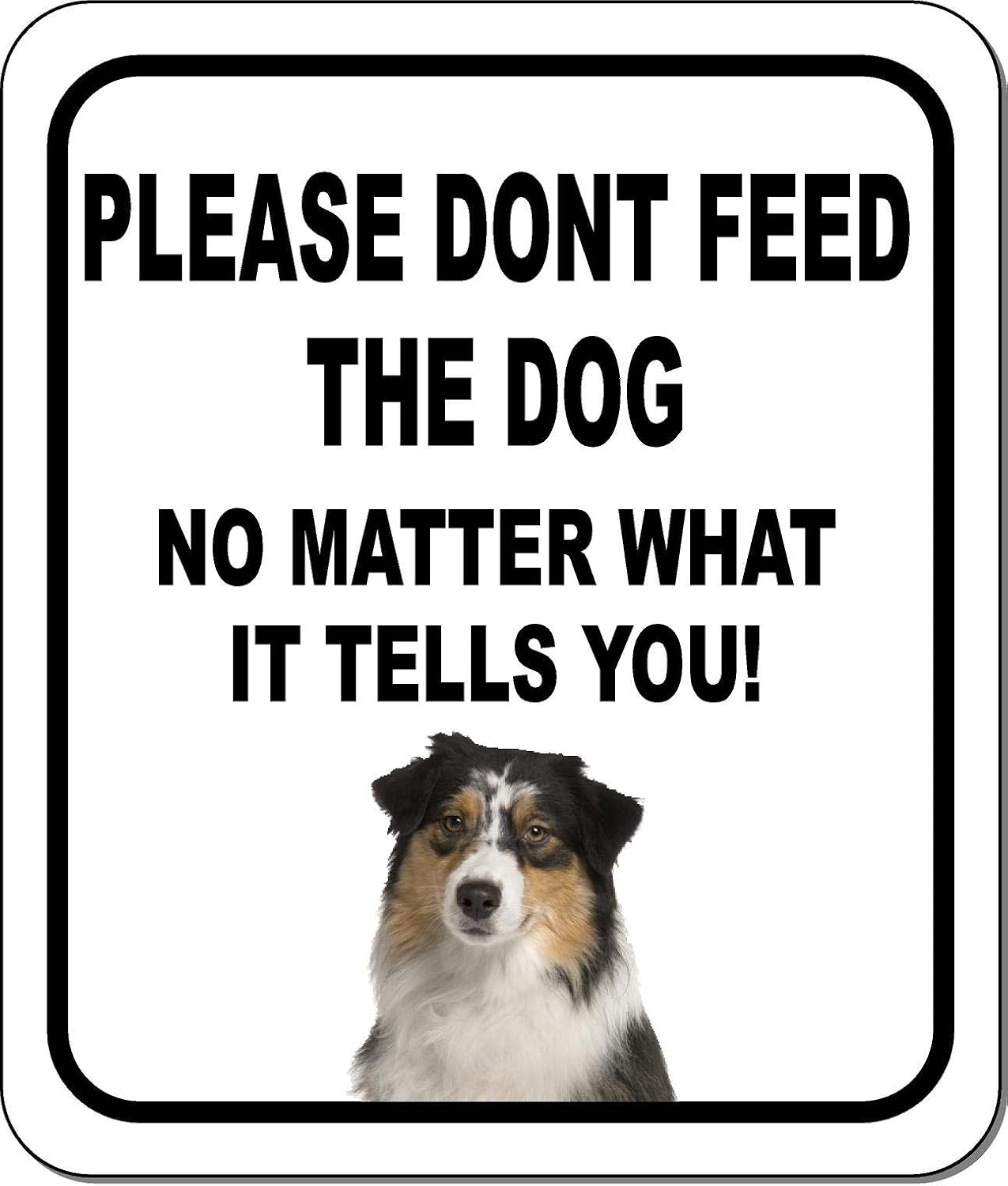 PLEASE DONT FEED THE DOG NO MATTER WHAT Australian Shepherd Aluminum Composite Outdoor Sign 20" x24"