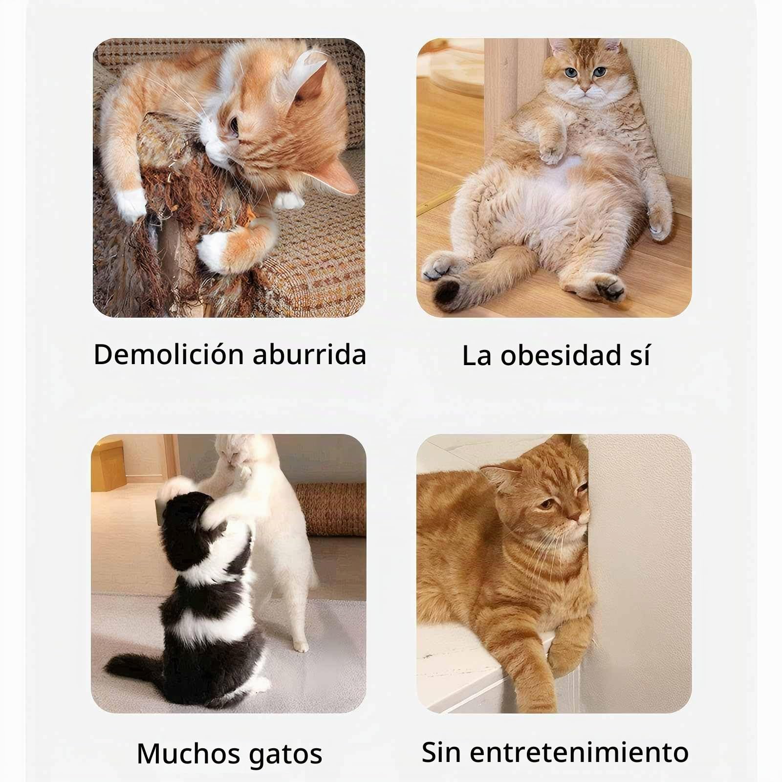 Juguete interactivo para gatos para interiores, juguete de persecución automática y manual de 3 velocidades, juguete de ejercicio de enriquecimiento de gatos para gatos aburridos de