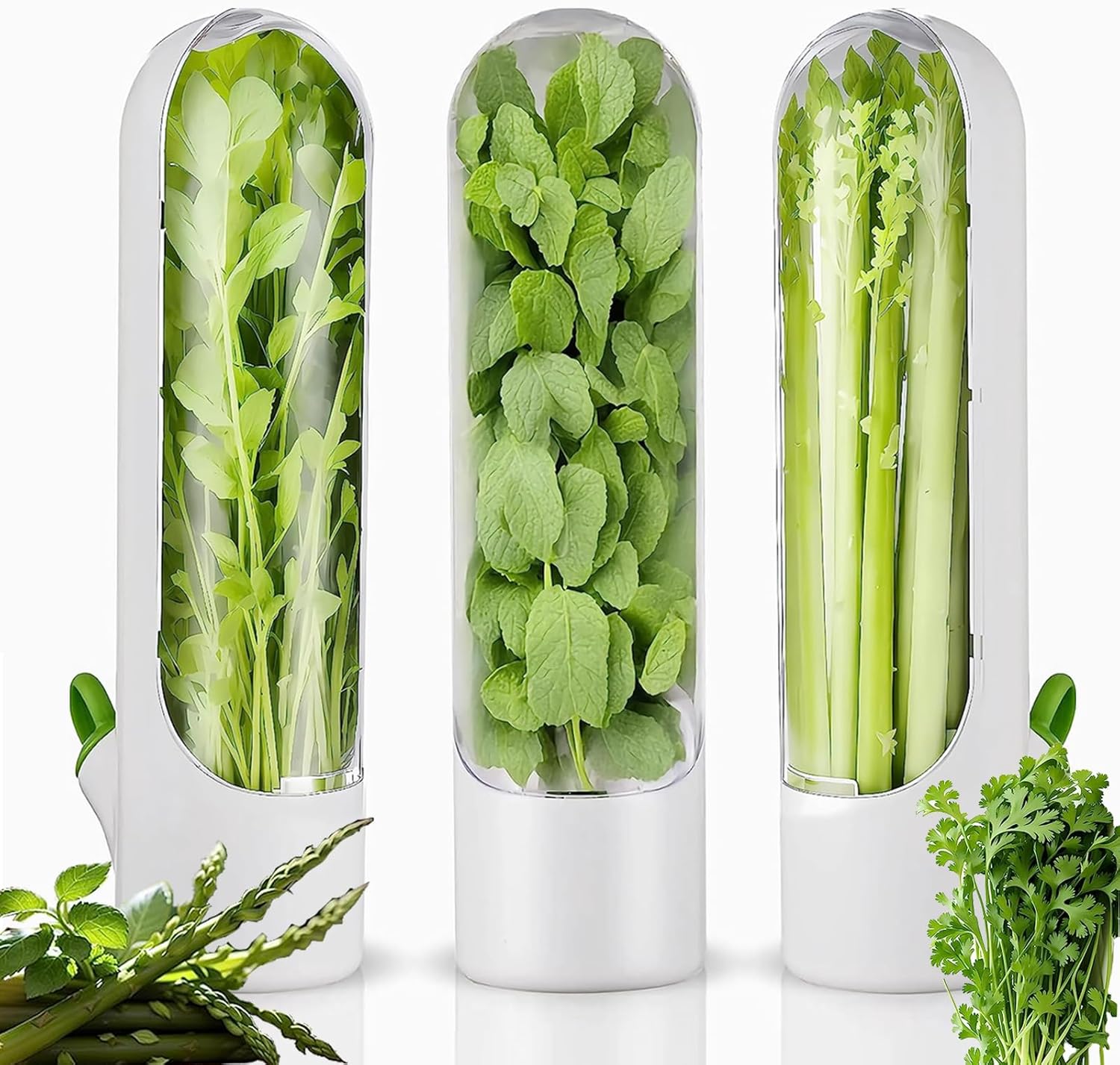 Vamrak Herb Saver for Refrigerator, Fresh Herb Keeper