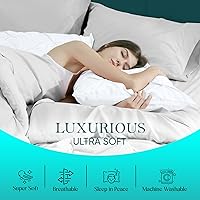 Vista 6 de beddingstar - Juego de fundas de almohada plisadas de 2 a 600 hilos, 100 % algodón egipcio, magníficas fundas de almohada decorativas