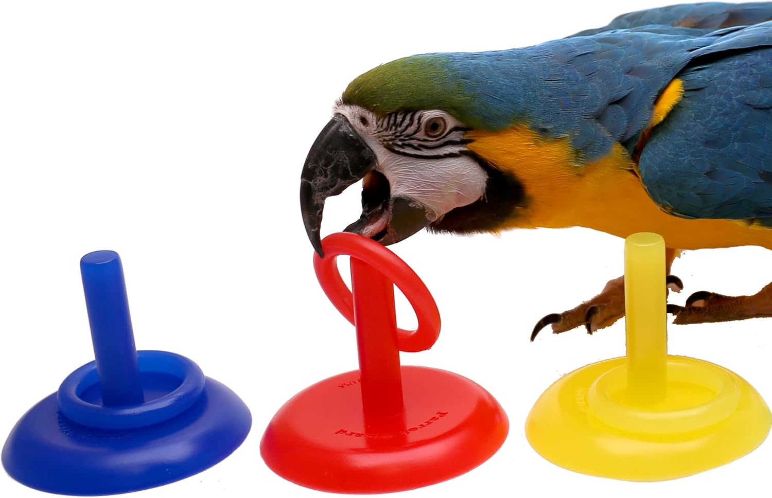 Birdie Ring Toss Trick for Parrots (3 Color, Medium)