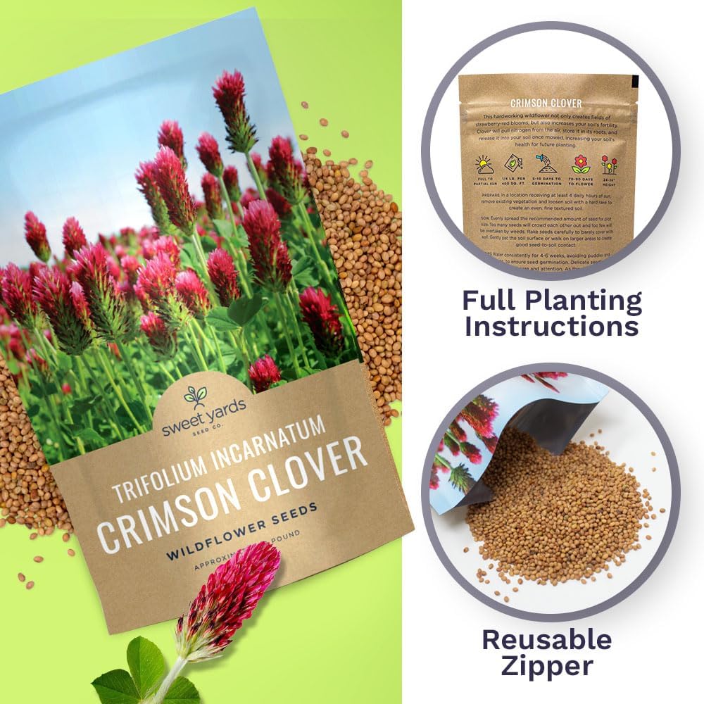 Crimson Clover Seeds for Planting – Bulk 5 Pounds – Over 400,000 Open Pollinated Non-GMO Seeds – Trifolium incarnatum