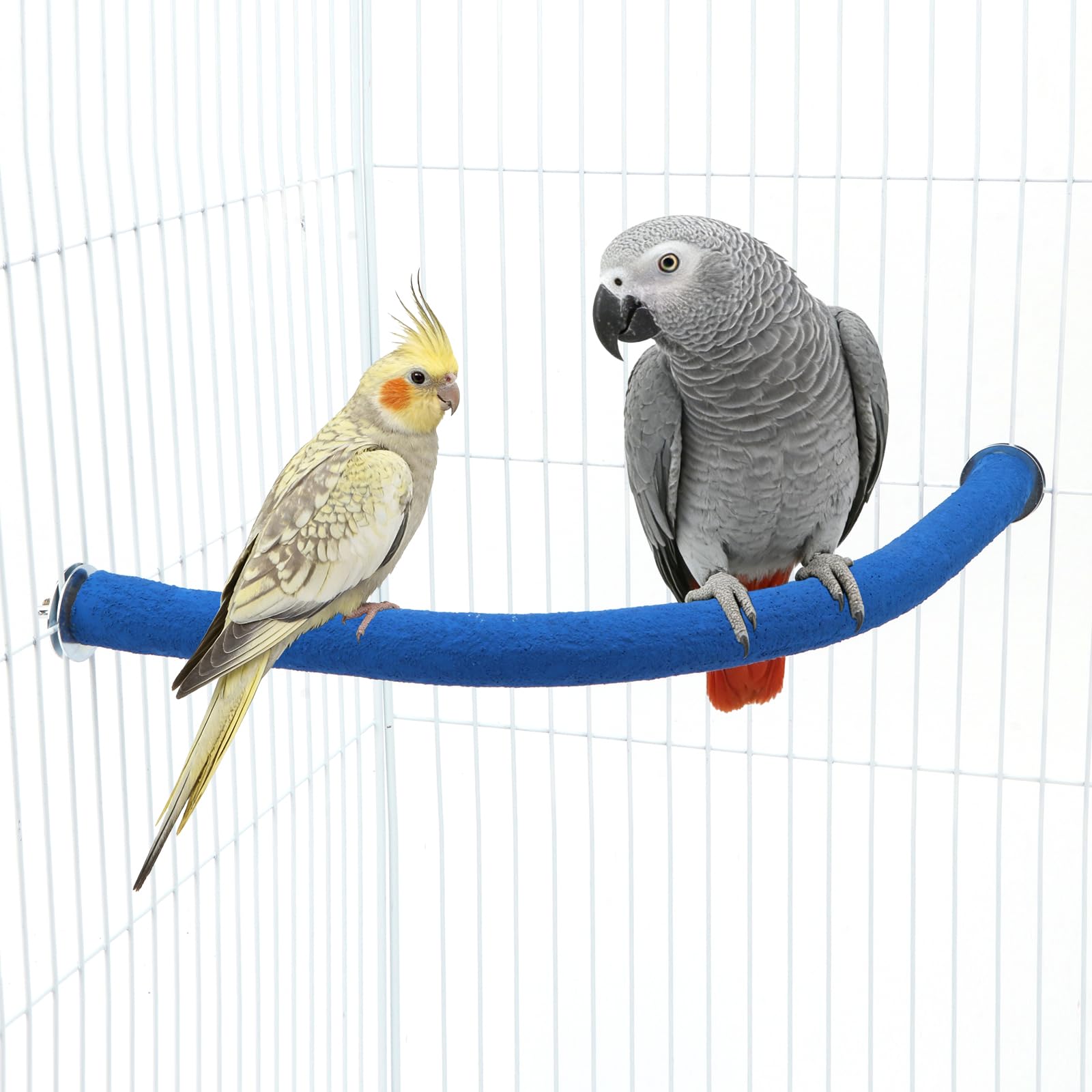 Perchoir en bois pour perroquet en U : balançoire et support de cage