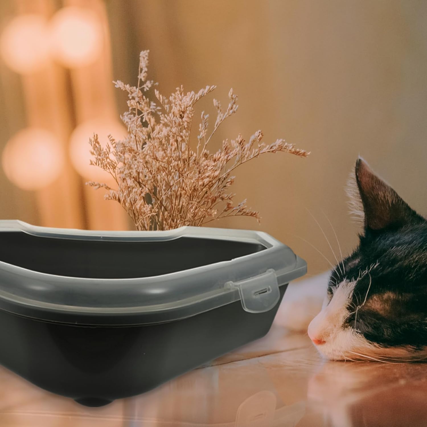 BESPORTBLE Large Semi-Enclosed Cat Litter Box Portable Toilet for Home Use Easy Access for Kittens Material Spacious Design for Fresh Air Circulation