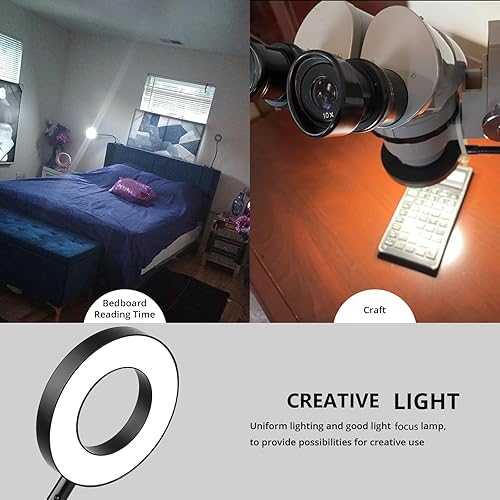 Miniatura 5 de Lámpara de escritorio con clip para lectura en casa, oficina, con adaptador de 5 V 2 A, 10 brillo regulable, 3 modos, luz de lectura con abrazadera