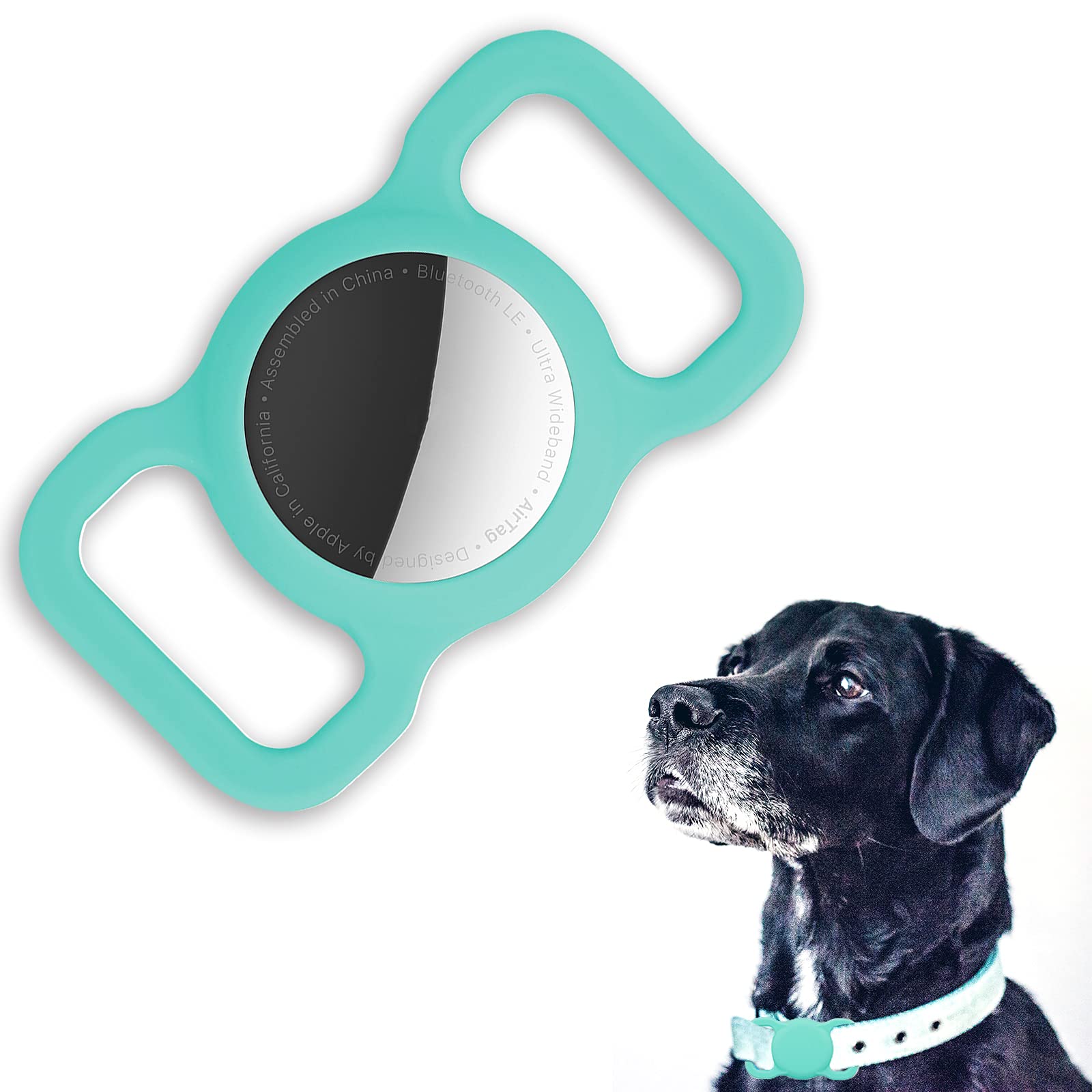 Why Does My Puppy Itch His Collar